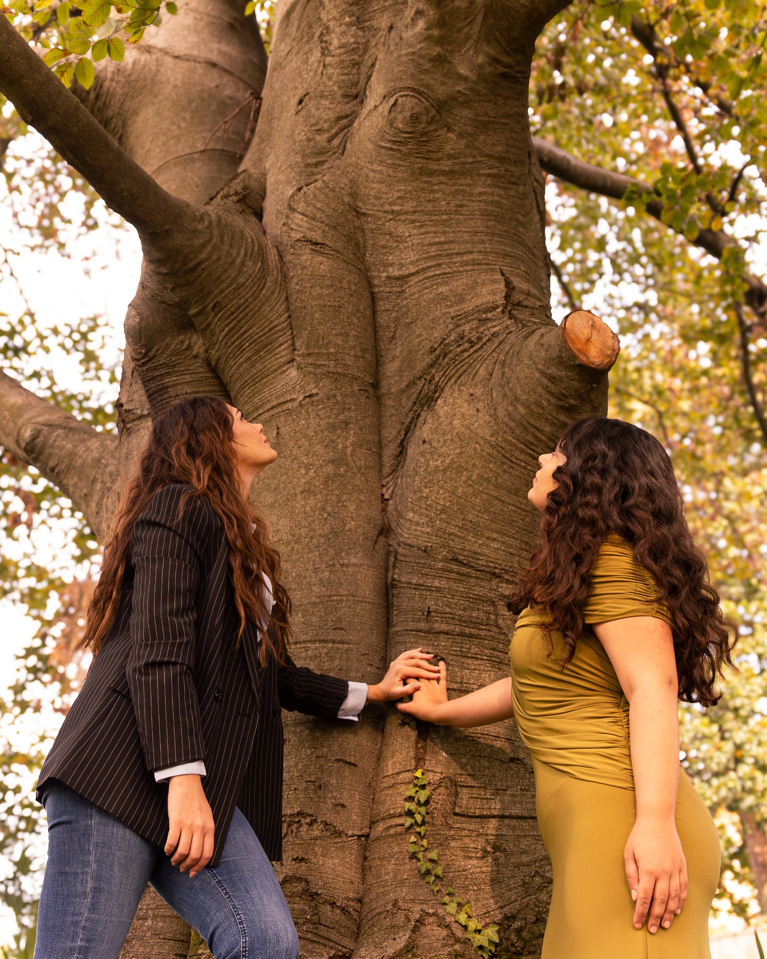 Arianna, a sinistra, e Ilenia, a destra con il vestito verde, con le mani unite sul tronco del grande albero